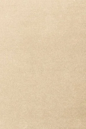 Ковровое покрытие AW Oinone 34 - (5м) в Барнауле