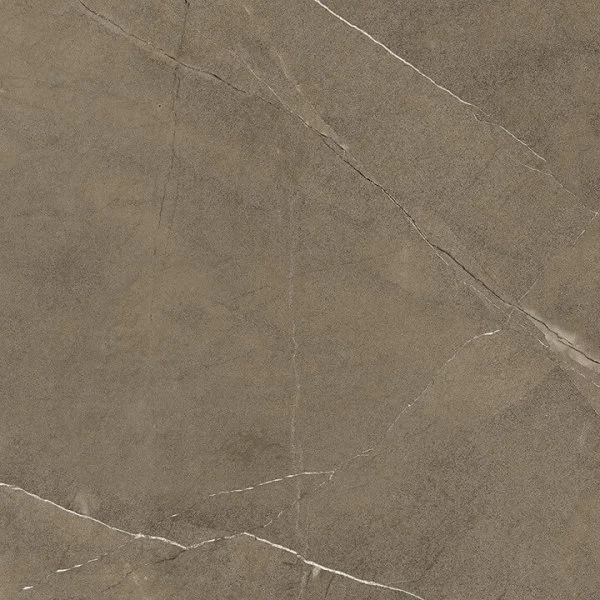 Керамогранит Coliseum Фьямма Бронз 60х60 (Натуральный и Реттифицированный) в Барнауле