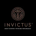 ПВХ плитка Invictus купить в Барнауле по выгодной цене ПВХ плитка Invictus в Барнауле