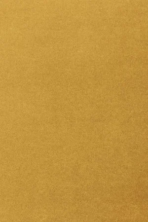 Ковровое покрытие AW Oinone 54 - (4м) в Барнауле