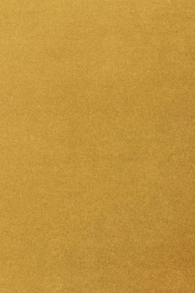 Ковровое покрытие AW Oinone 54 - (5м) в Барнауле