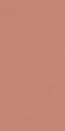 Керамогранит Italon Серфейс Скарлетт (Патинированная, 60x120) в Барнауле