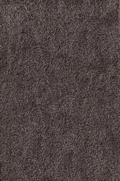 Ковровое покрытие AW Messalina 44 - (4м) в Барнауле