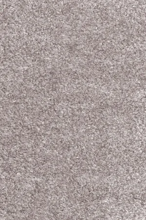 Ковровое покрытие AW Euphoria 16 - (5м) в Барнауле