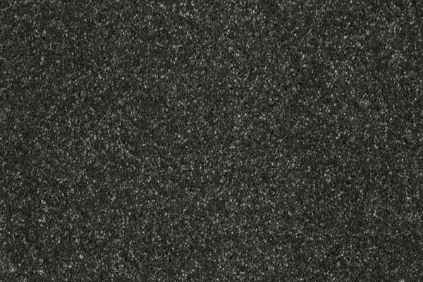 Ковровое покрытие AW Gala 97 - (5м) в Барнауле