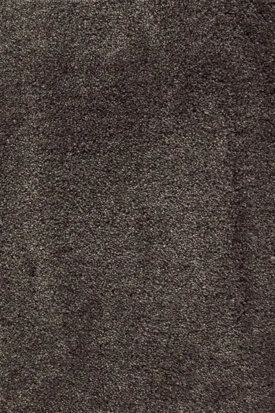 Ковровое покрытие AW Fedone 44 - (5м) в Барнауле