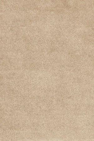 Ковровое покрытие AW Omphale 37 - (5м) в Барнауле