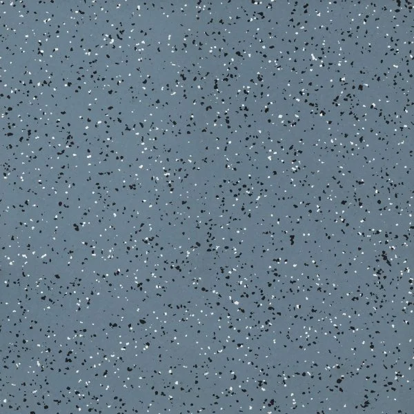 Линолеум Tarkett iQ Era SC 806 (2 м) в Барнауле