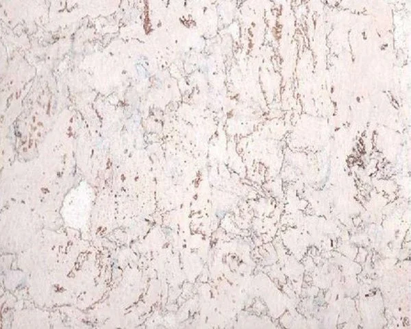 Настенное пробковое покрытие CorkArt PW 324 WS в Барнауле