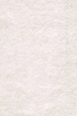 Ковровое покрытие AW Euphoria 03 - (5м) в Барнауле