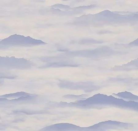 Обои Loymina Clair CLR4, 006 в Барнауле