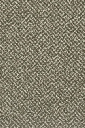 Ковровое покрытие AW Stainaway Tweed 24 - (4м) в Барнауле