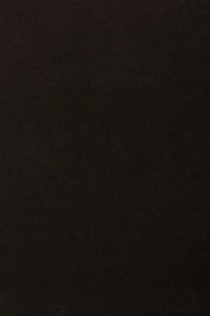 Ковровое покрытие AW Oinone 99 - (4м) в Барнауле