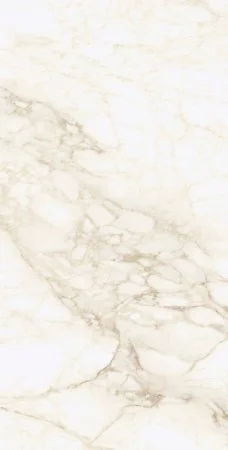 Керамогранит Coliseum Микеланджело Ворм 60х120 (Натуральный и Реттифицированный) в Барнауле