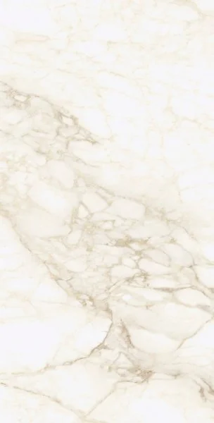 Керамогранит Coliseum Микеланджело Ворм 60х120 (Натуральный и Реттифицированный) в Барнауле