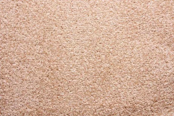 Ковровое покрытие Zartex Фортуна 004 кремовый - 3 м в Барнауле