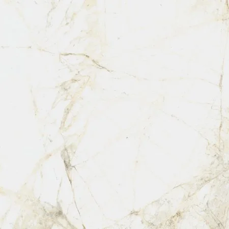 Керамогранит Coliseum Канова Уайт 60х60 (Натуральный и Реттифицированный) в Барнауле