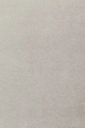 Ковровое покрытие AW Oinone 92 - (5м) в Барнауле