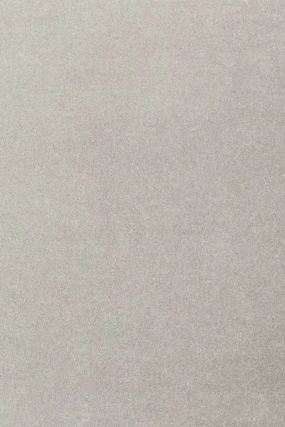 Ковровое покрытие AW Oinone 92 - (5м) в Барнауле