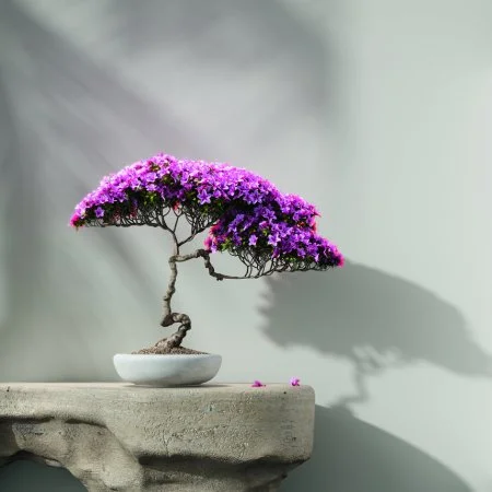 Обои Loymina Lotus LOT1 112 в Барнауле