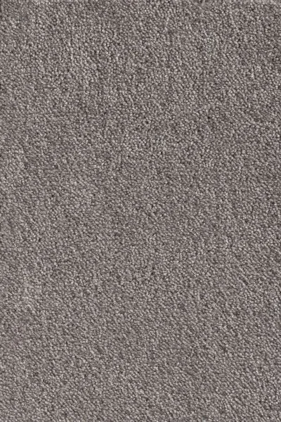 Ковровое покрытие AW Messalina 49 - (5м) в Барнауле