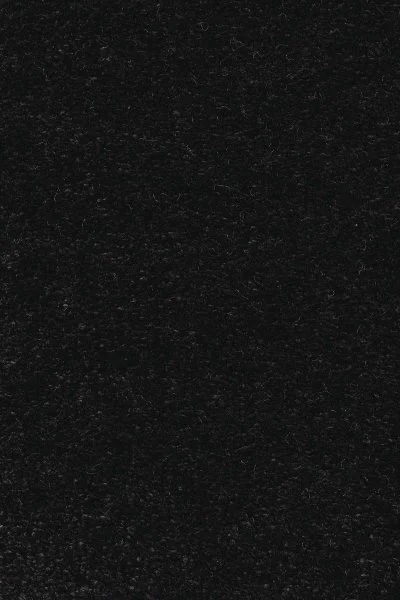 Ковровое покрытие AW Euphoria 99 - (5м) в Барнауле