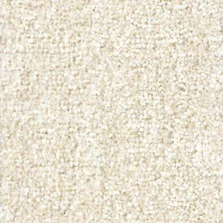 Ковровое покрытие Zartex Парадиз 565 Пломбир - 3 м в Барнауле