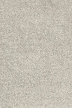 Ковровое покрытие AW Omphale 49 - (5м) в Барнауле