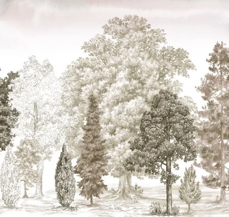 Обои Loymina Пейзаж vol. 2 ART14 012 в Барнауле