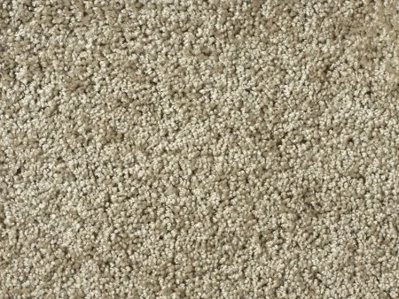 Ковровое покрытие Zartex Адель 043 Кэмел - 3 м в Барнауле