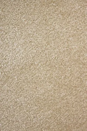 Ковровое покрытие AW Euphoria 33 - (5м) в Барнауле