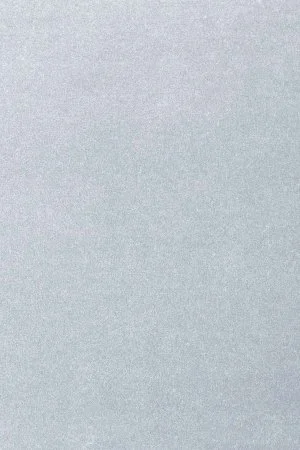 Ковровое покрытие AW Oinone 07 - (5м) в Барнауле