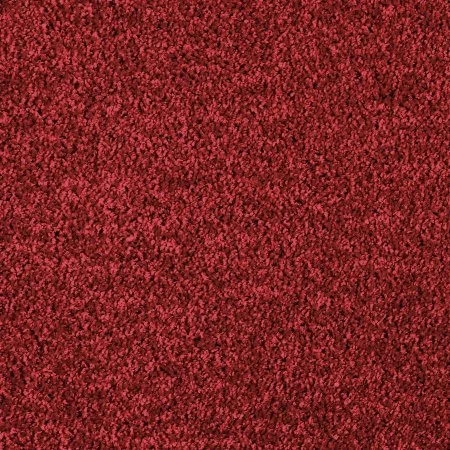 Ковровое покрытие AW Kiama 11 - (4м) в Барнауле