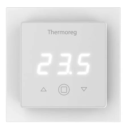Терморегулятор Thermoreg TI-300 в Барнауле
