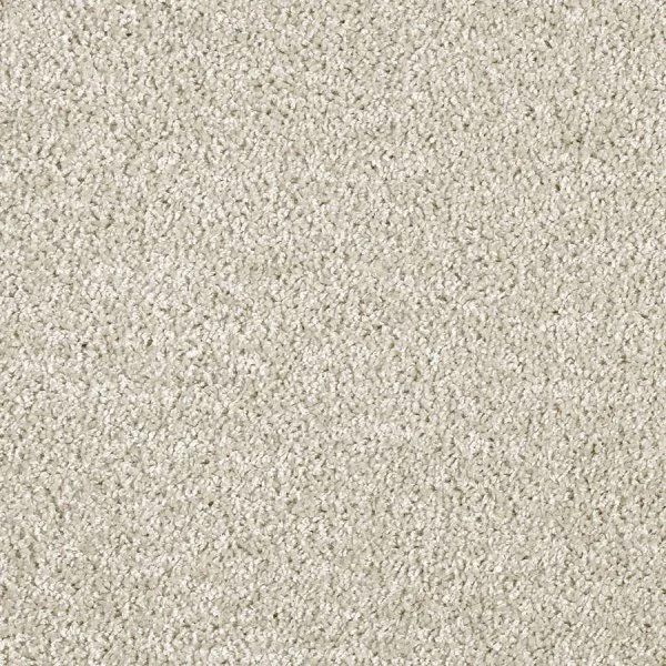 Ковровое покрытие AW Kiama 39 - (5м) в Барнауле