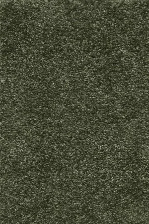 Ковровое покрытие AW Certosa 24 - (5м) в Барнауле