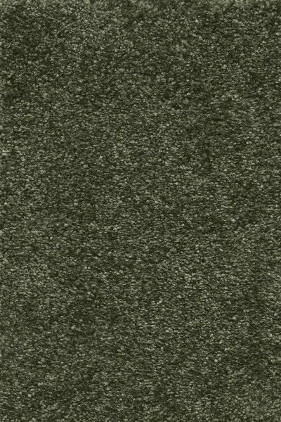 Ковровое покрытие AW Certosa 24 - (4м) в Барнауле