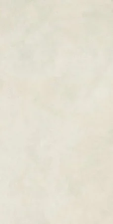 Керамогранит Coliseum Лайфстайл Сноу 60*120 нат и рет. в Барнауле