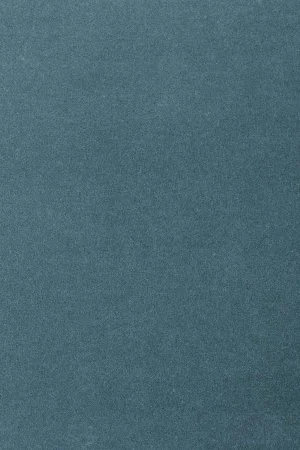 Ковровое покрытие AW Oinone 74 - (5м) в Барнауле