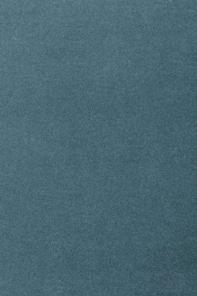 Ковровое покрытие AW Oinone 74 - (5м) в Барнауле