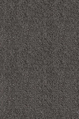 Ковровое покрытие AW Messalina 99 - (4м) в Барнауле