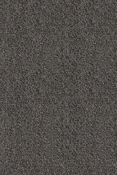 Ковровое покрытие AW Messalina 99 - (5м) в Барнауле