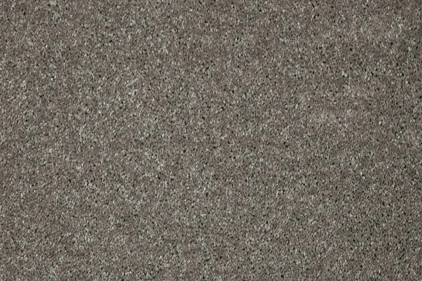 Ковровое покрытие AW Gala 94 - (5м) в Барнауле