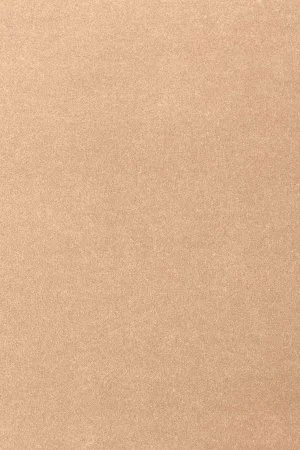 Ковровое покрытие AW Oinone 08 - (4м) в Барнауле