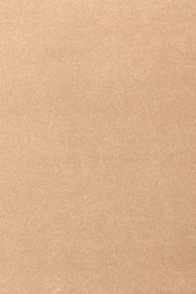 Ковровое покрытие AW Oinone 08 - (4м) в Барнауле