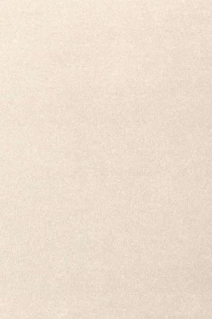 Ковровое покрытие AW Oinone 03 - (4м) в Барнауле