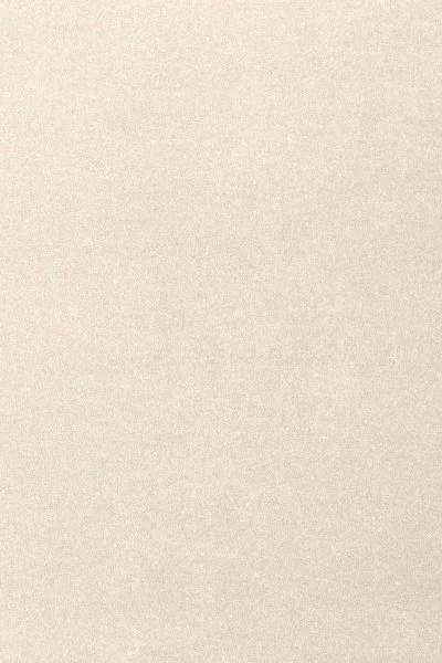 Ковровое покрытие AW Oinone 03 - (5м) в Барнауле