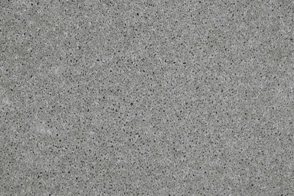 Ковровое покрытие AW Gala 90 - (4м) в Барнауле