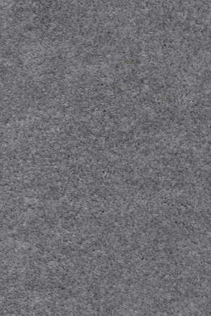 Ковровое покрытие AW Euphoria 95 - (5м) в Барнауле