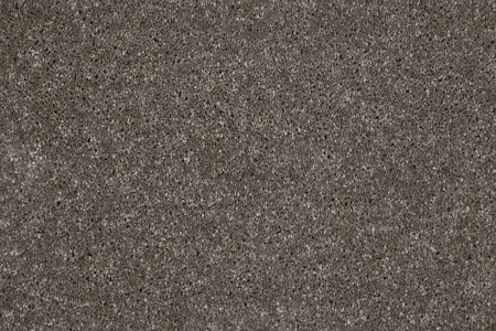 Ковровое покрытие AW Gala 49 - (4м) в Барнауле